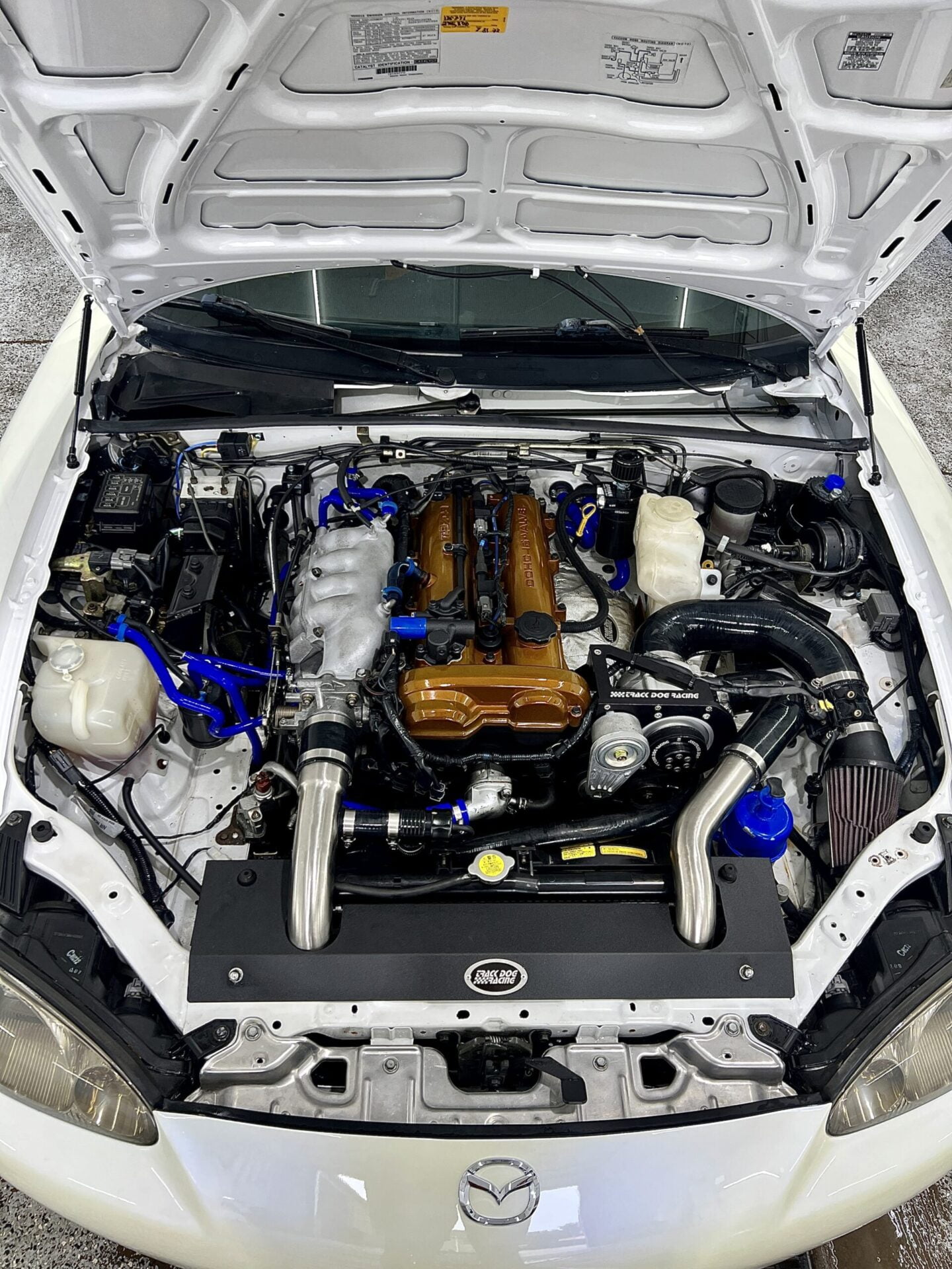 engine bay detaling in hampton, pa